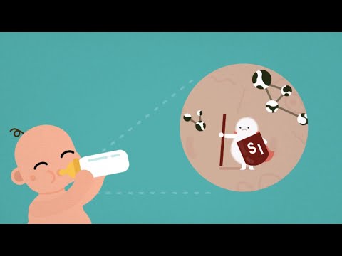Allergie au lait