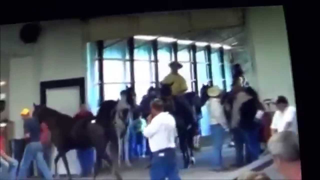 Black mare at Wiser farm sale sold to Kelly YouTube