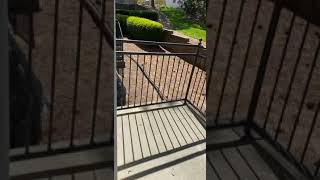 (1150 sq.ft.) 2-bedrooms Apartment Terrace