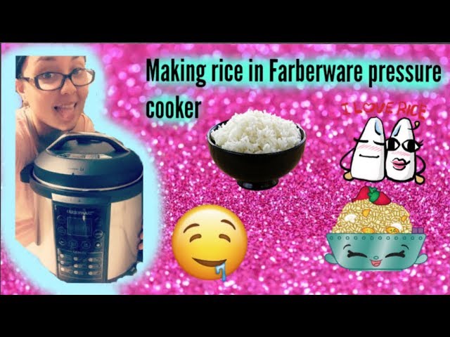 CRUX 20 Cup Rice Cooker – Crux Kitchen