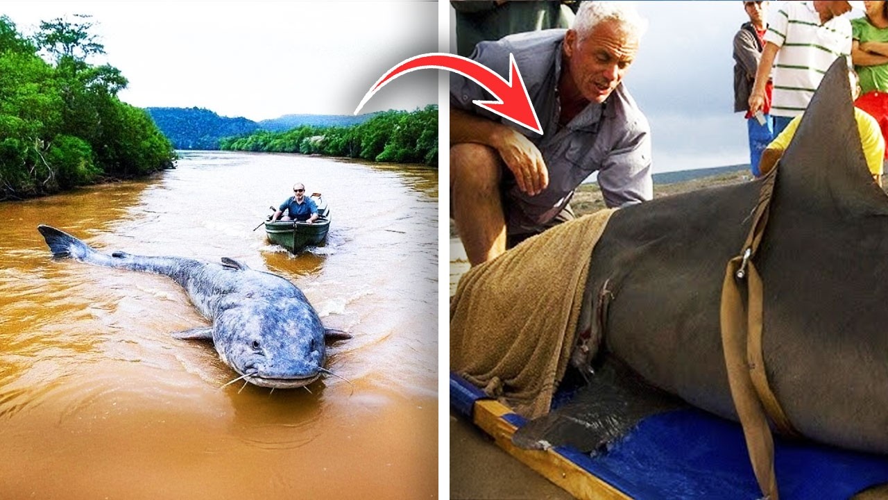 Jeremy Wade EXPOSES The REAL Reason River Monsters Was Canceled