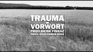 TRAUMA - VORWORT (PROD. by Brisk Fingaz)