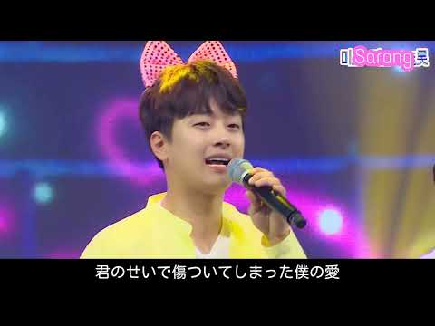哀想 - イムヨンウン イチャンウォン (애상 임영웅 이찬원) 【日本語字幕/歌詞/和訳】