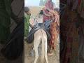 في القرى فتاة تملأ الماء على حمار وطفل يتفقدها 