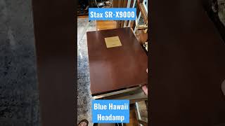 The best headphones I've ever heard?  Stax SR-X9000 and Blue Hawaii Headamp
