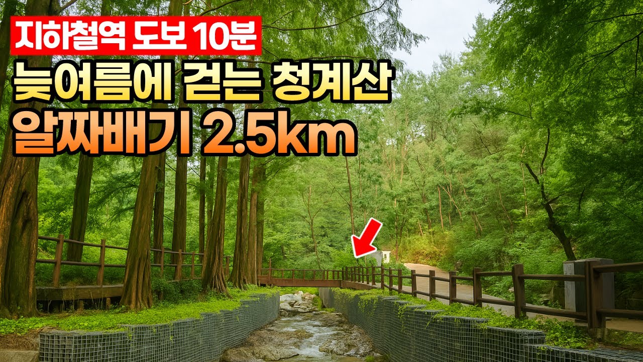🚶🏻혼자 걷기 좋은 알짜배기 트레킹코스🌲 | ‍트레킹 코스 | 도심산책 | 서울산책 | 대중교통 당일치기 여행ㅣ지하철 여행ㅣ