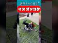 イスからズッコケ / Chair fails #椅子ズッコケ #引っくり返る #転倒 #恥ずい