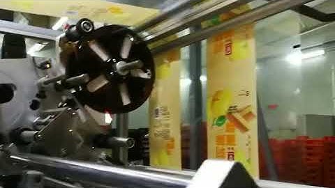 Plastic bag double side labeling machine operation video from Wilpac