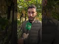 عنب القنيطرة حكاية إنتاج متميّز وتمسّك راسخ بالجذور