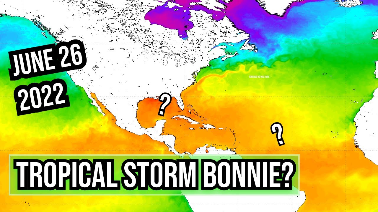 Future Tropical Storm Bonnie spaghetti models June 26 Invest 94L