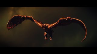 Rodan New 3d Animation Test/  Methlokaijufan97
