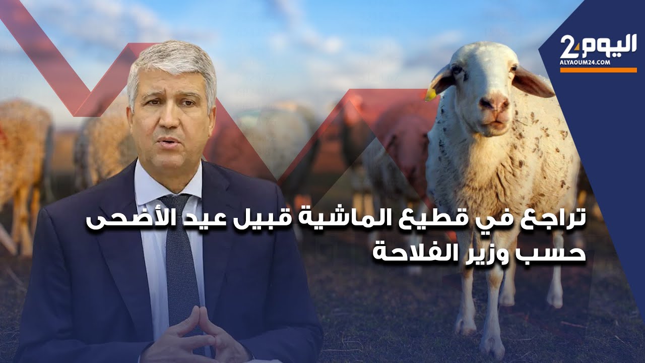 تراجع في قطيع الماشية قبيل عيد الأضحى حسب وزير الفلاحة