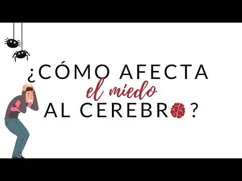 Video: ¿Cómo afecta el miedo al cerebro?