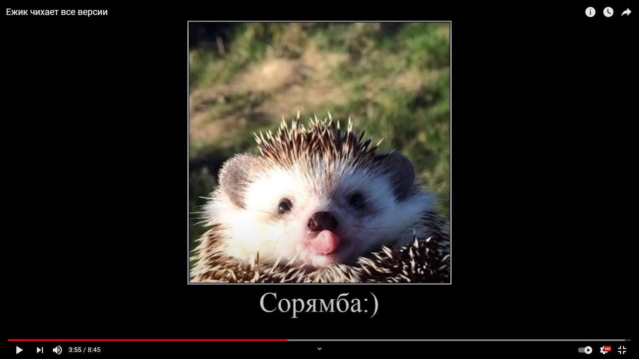 Почему чихает иж