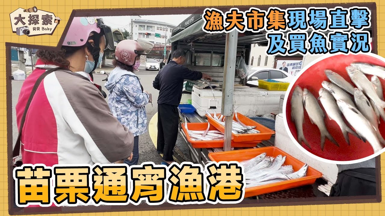 【漁港走透透 Fishing Harbor Tales】#62 苗栗縣通霄漁港及買魚實況｜Fishing Port & Seafood ｜EP_156