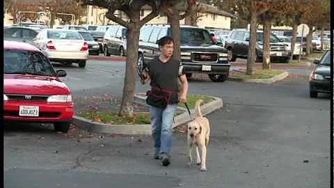 Spratly K9 Scent Detection Training (Part 3)