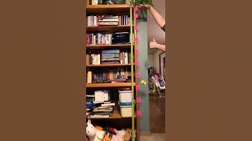 AP Physics: Rotational Dynamics Slow-Motion Lab Falling Yo-Yo