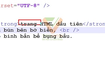 [HTML] Thẻ in đậm strong