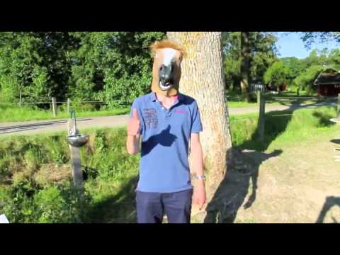Video: Hur Man Gör En Hästmask