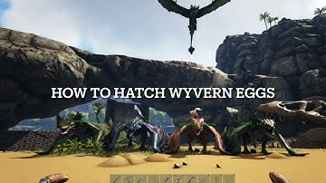 How to hatch WYVERN eggs | ARK Survival Evolved