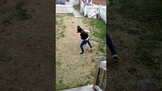 2 lil girls fighting
