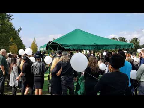 Cody 36 Balloon