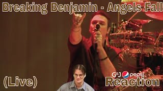 Breaking Benjamin - Angels Fall (Live) Reaction
