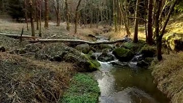 سورة الأنعام+++الحرم المكي الشريف للشيخ أ د. ياسر الدوسري بدون اعلان