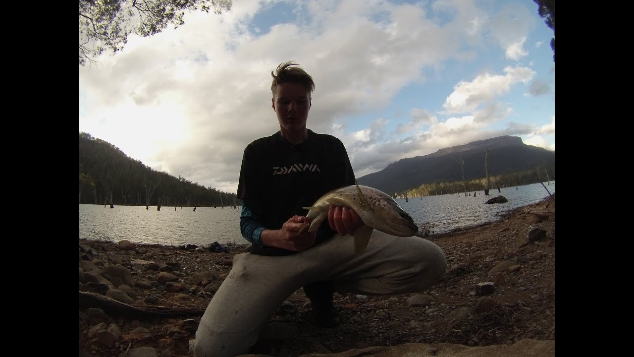 the MOVE was worth it! TROUT fishing Tasmania - YouTube