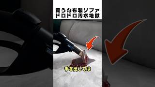 初心者は絶対買うな！？布ソファの汚すぎる正体ッ😱
