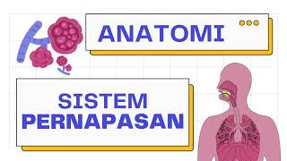 Cara Mudah Pahami Anatomi Sistem Pernapasan | Traktus Respiratorius