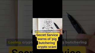 Secret Service warns of 'pig butchering' crypto scam