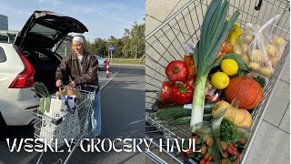 lidl grocery haul // podzimní týdenní nákup