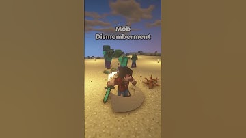 MINECRAFT Realistic Animations! (Mod)