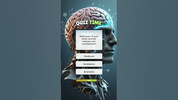 Which part of your brain controls balance and coordination? #didyouknow #quiz #facts #sciencefacts