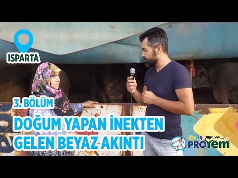 Video: MTZ-132: yorumlar, fotoğraflar, talimatlar