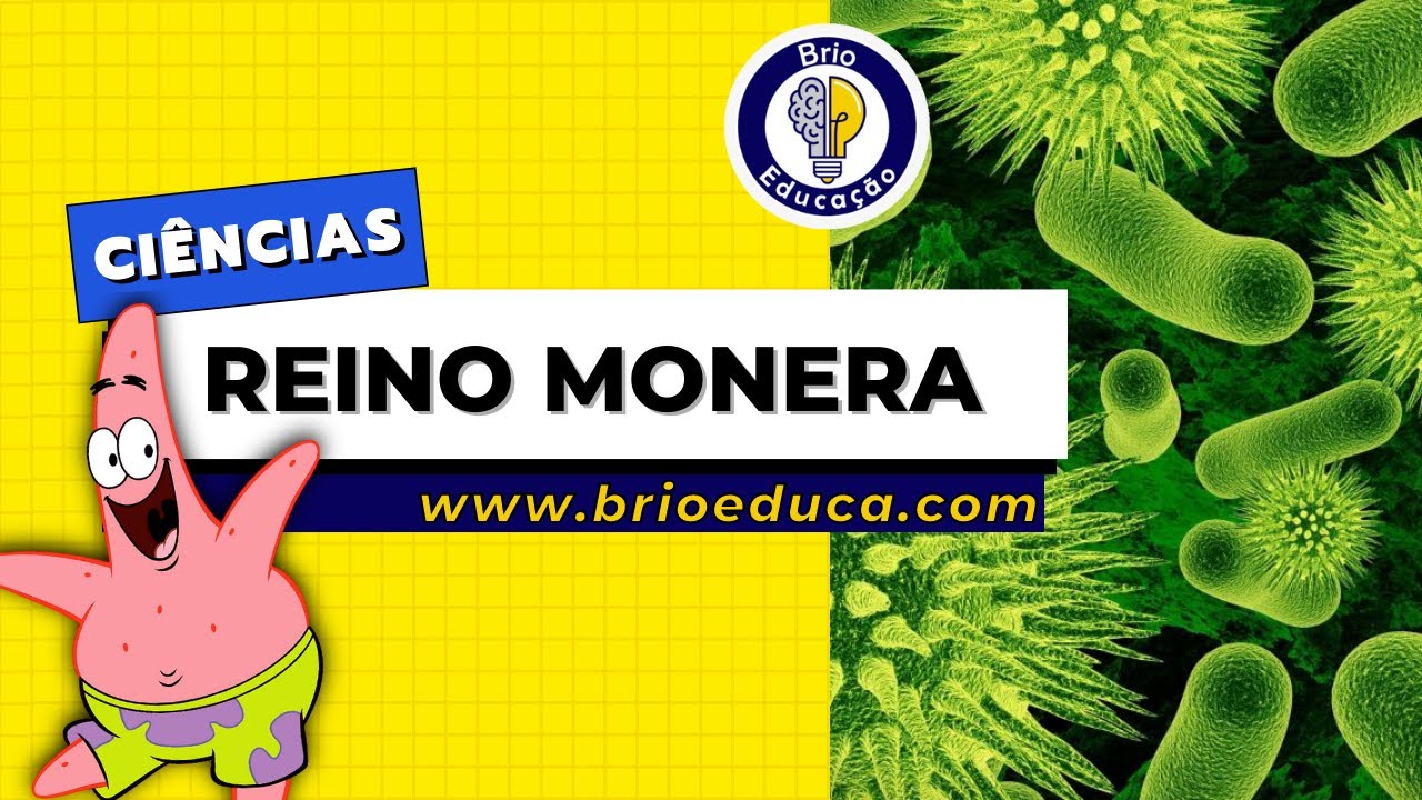 Ciências: Reino Monera | Brio Educação