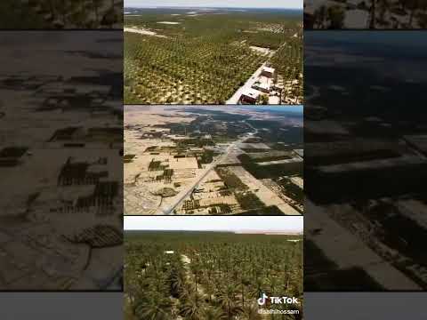 مدينة فوغالة بسكرة