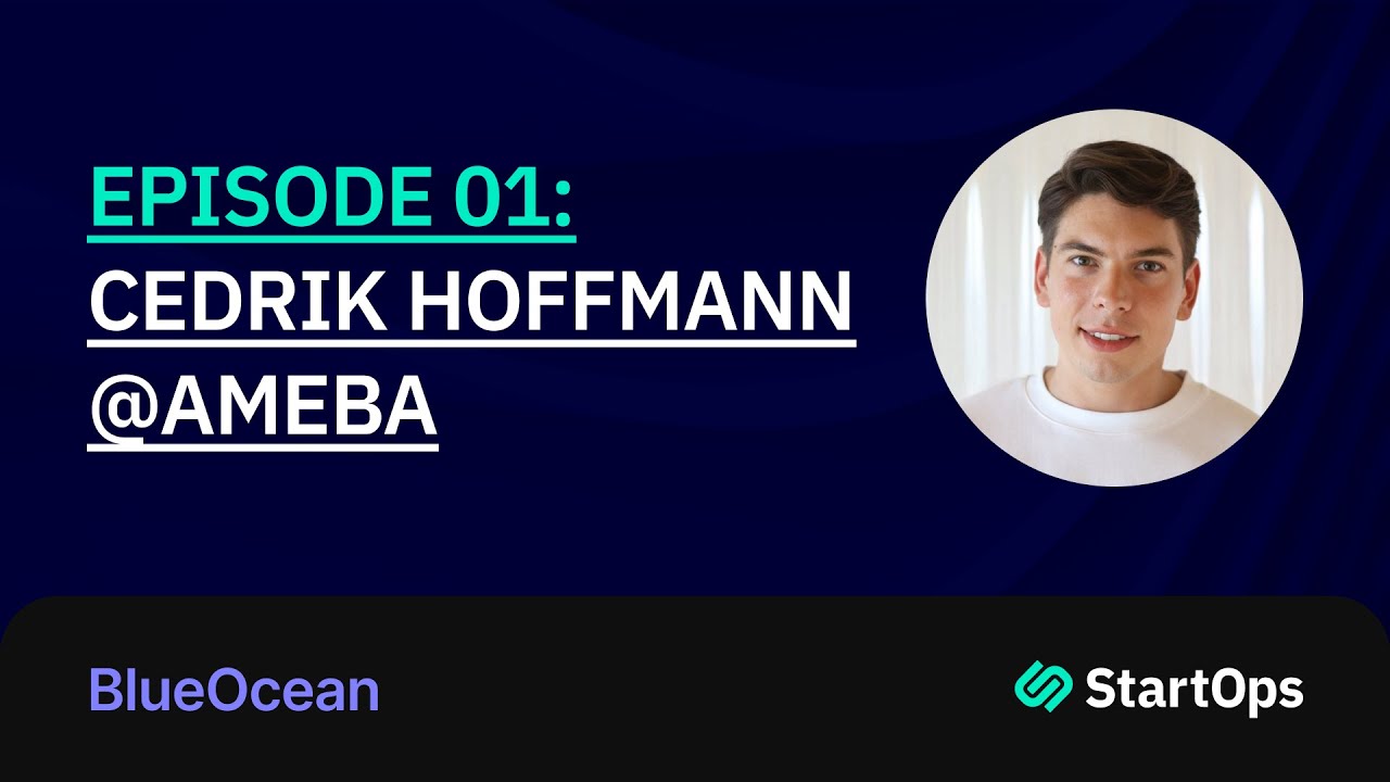 Controlling supply chain variance | Cedrik Hoffmann @ Ameba