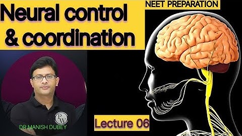 Lec 06 Neural control & coordination||Reflex action & sense organs/physiology & anatomyDr Manish sir