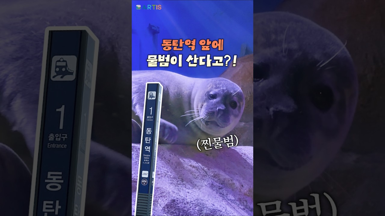 YouTube player