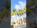 The view in Miami is beautiful ✨💜 #musicbusiness #lifeisbutadream #poolparty #babyrapgod