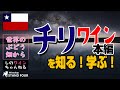 【チリ】ワインを知る！学ぶ！本編動画（徳岡） しのワインちゃんねる　世界のぶどう畑からシリーズ（2022.02）