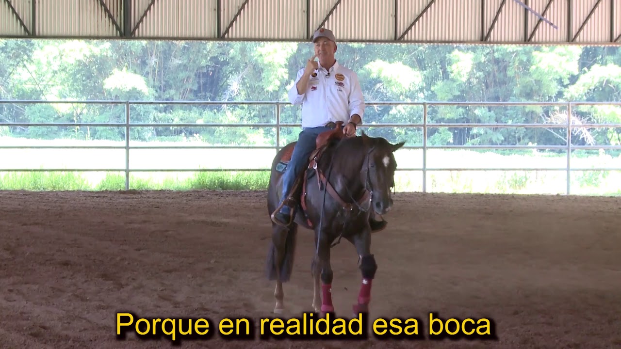 COMO CORRIGIR CAVALOS QUE NÃO FAZEM FORÇA PARA PARAR!!!