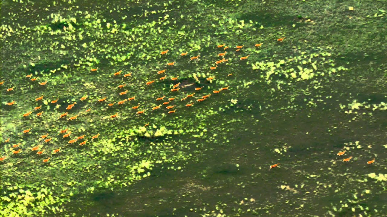 Introduction to VMware Cloud Automation Solution