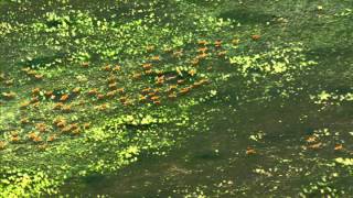 Introduction To Vmware Cloud Automation Solution