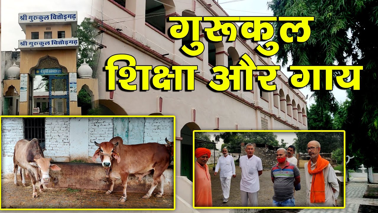 गुरूकुलो मे गाय सेवा और शिक्षा एक साथ चलती थी | इसीलिए दोनों का संरक्षण होता था