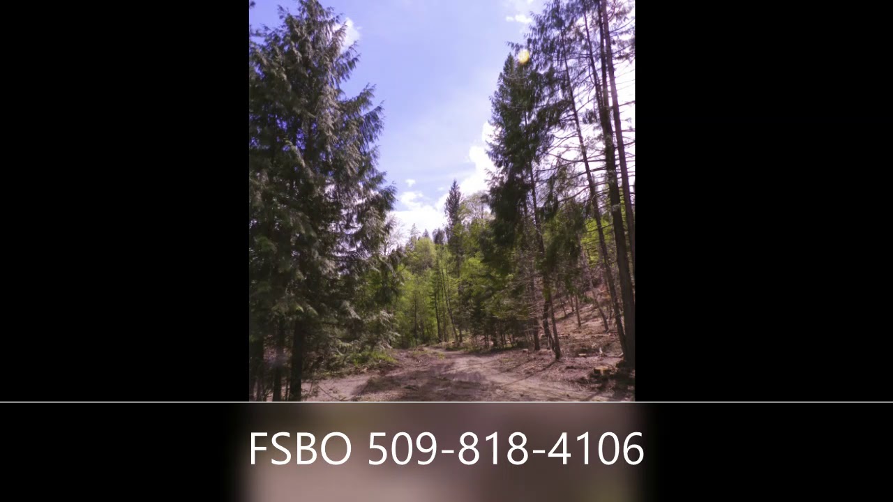 North Idaho Land for sale 40acres Sandpoint YouTube
