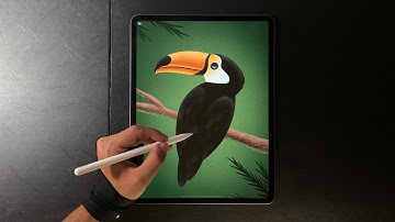 Toucan Bird 🦜 Drawing in Procreate | iPad Pro