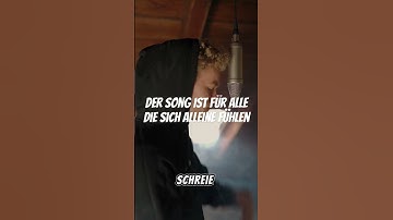 Thumbnail of Du bist nicht alleine allein #alleine #einsam #tlow #newmusic #sadsong